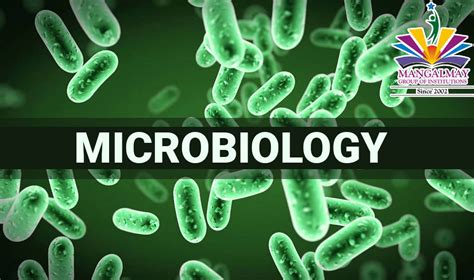 microbiology branches  microbiology scope  microbiology