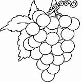 Raisin Grappe Colorier Vigne Feuille Vignes Dessiner Ccm2 Hugo Cep Hugolescargot Choisir Danieguto sketch template