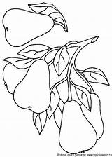 Coloring Pages Para Plum Peras Vegetables Popular Fruit Pintura Fruits Salvo Uploaded User sketch template