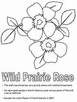 Rose Coloring Prairie Pages Wild Animals Northdakota Ws Kidzone Geography Usa Gif Popular Rose2 sketch template