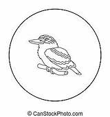 Kookaburra Vector Clipart Illustrations sketch template