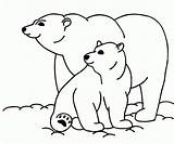 Polar Bear Cute Coloring Pages Getcolorings Printable Getdrawings sketch template
