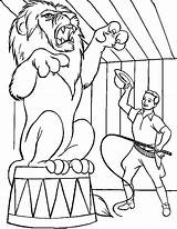 Lion Circus Coloring Pages Getcolorings Getdrawings sketch template