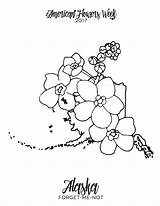 Coloring State Pages Flower Washington Drawing Forget Getcolorings Astonishing Flowers Getdrawings Printable Color sketch template