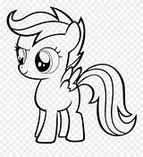 Cutie Coloring Pages Mark Mlp Crusaders Pony Little Clipart Pinclipart Scootaloo sketch template