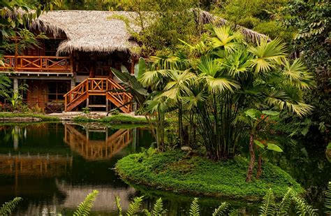 luxury amazon rainforest hotels   stay   amazon