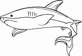 Shark Coloring Pages Whale Drawing Megalodon Underwater Hammerhead Baby Hungry Printable Color Adults Pencil Getcolorings Great Wecoloringpage Paintingvalley Drawings Comments sketch template
