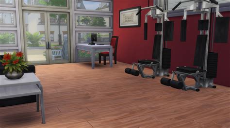 mod  sims mayfair gym  cc