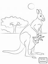 Kangaroo Red Coloring Pages Baby Drawing Cute Kangaroos Printable Getdrawings Kids sketch template