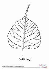 Bodhi Leaf Colouring Vesak Become Member Log Activity sketch template