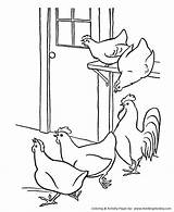 Coloring Pages Farm Chicken Hens Animal Hen House Chickens Animals Printable Honkingdonkey Different Rooster Print sketch template