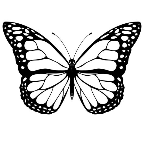 cool butterfly drawings clipart