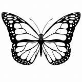 Butterfly Drawings Cool Coloring Pages Printable Butterflies Drawing Clipart Outline Cliparts Monarch Clip Draw Color Lines Mariposas Template Tattoo Designs sketch template