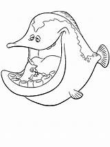 Coloring Barracuda Pages Disney Fish Cartoons sketch template