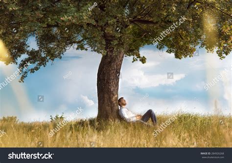 man sitting  tree images stock  vectors shutterstock