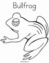 Coloring Bullfrog Tadpole Frog Frogs Pages Hibernate Drawings Noodle 76kb Twistynoodle Outline sketch template