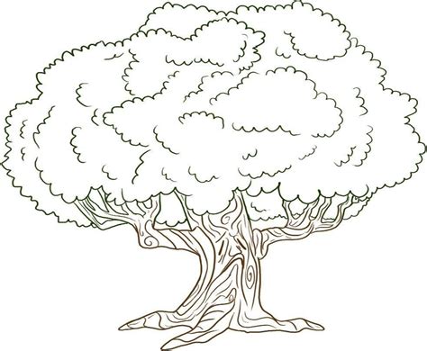 realistic tree coloring pages