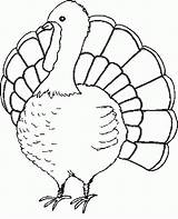 Coloring Turkey Feather Pages Popular sketch template