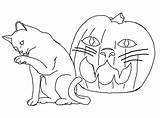 Coloring Cat Pages Halloween Printable Kids Funny sketch template