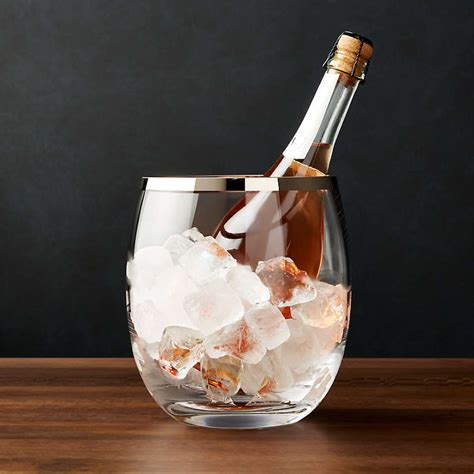 Pryce Champagne Ice Bucket Reviews Crate And Barrel