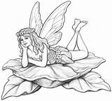 Fairy Pencil Fairies Sketch Garden Drawing Coroflot Mikesell Drawings Coloring Pages Nicholas Designs Sketches Draw Color Stepping Stakes Including Concept sketch template