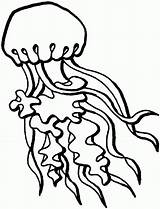Coloring Pages Jellyfish Clipart sketch template