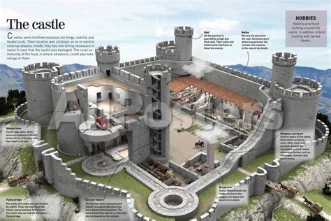 infographic   medieval castle  kings nobles  lords cohabited print allposters