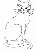 Calico Dessin Coloriage Siamese 1876 Kitten Coloriages Getcolorings Impressionnant sketch template