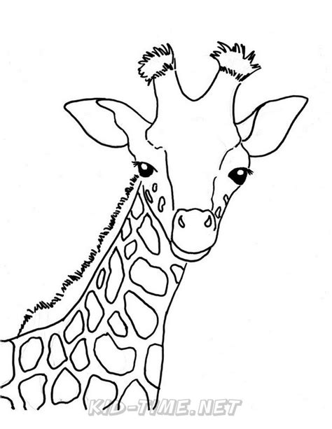 giraffe coloring pages  kids time fun places  visit