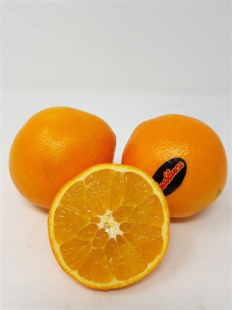 wiesenland obst und gemuese produktdetail orangen dessert premium
