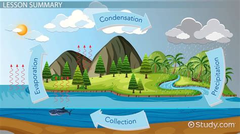 water cycle lesson  kids definition facts lesson studycom