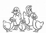 Coloring Ducks Pages Little Five Printable Colouring Coloringtop Print sketch template