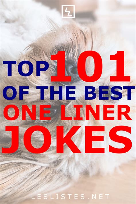 top 101 one liner jokes that will make you laugh out loud artofit