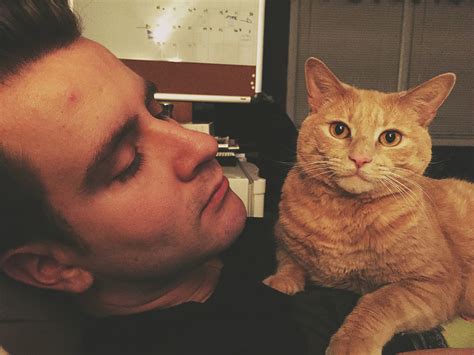 real men love cats — and these guys are the proof
