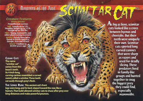 scimitar cat weird  wild creatures wiki fandom