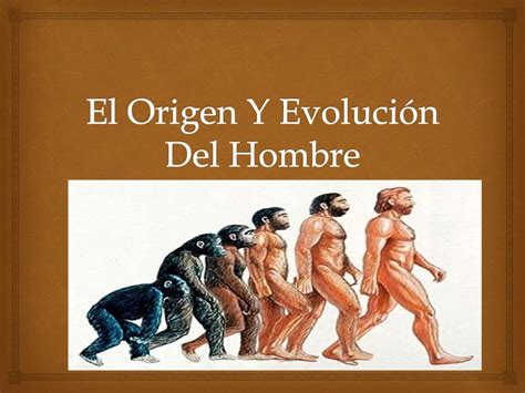 Origen Y Evolucion Del Hombre Timeline Timetoast Timelines Images