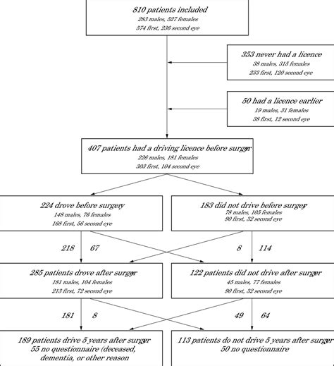 Visual Function And Car Driving Longitudinal Results 5