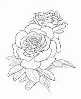 Rose Coloring Pages Tattoo Roses Sketch Drawing Color Book Flowers Drawings Getcolorings Flash Draw Ink Getdrawings sketch template