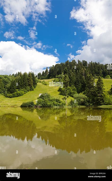 summer landscape  brazi lake tau brazi  rosia montana alba county romania stock photo