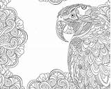 Parrot Coloring Pages Mandalas Tropical Adult Destress Therapy Colouring Colorir sketch template