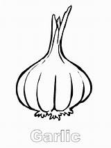 Coloring Garlic Pages Vegetables sketch template