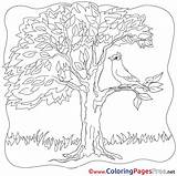 Baum Vogel Ausmalbild Colouring Malvorlage Malvorlagenkostenlos Ausmalen Bäume sketch template
