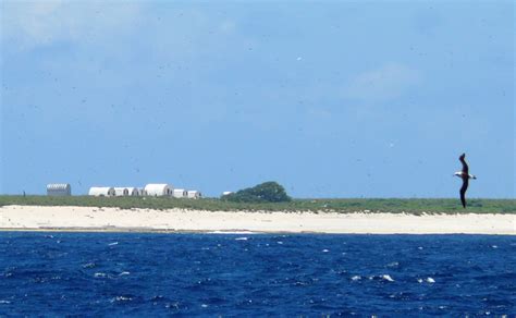 laysan island