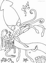 Squid Coloring Giant Pages Printable Print Wanted Color Colossal Kids Instructive Getdrawings Getcolorings sketch template
