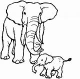 Coloring Elephants Pages Kids Print Children Color Printable Animals Justcolor sketch template
