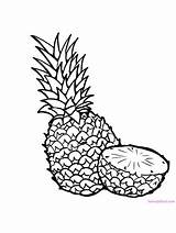 Pineapple Plant sketch template