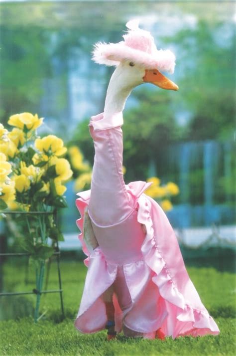 farmer hires dressmaker  style  ducks  fanciful costumes designtaxicom