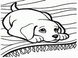 Pages Dogs Coloring Cool Getcolorings sketch template