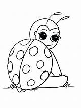 Ladybird Ladybug Gaddynippercrayons sketch template