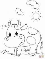 Coloring Cow Cute Pages Cartoon Printable Drawing sketch template